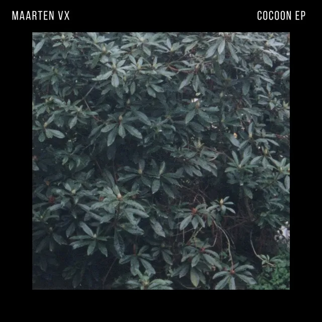 Maarten VX, Cocoon